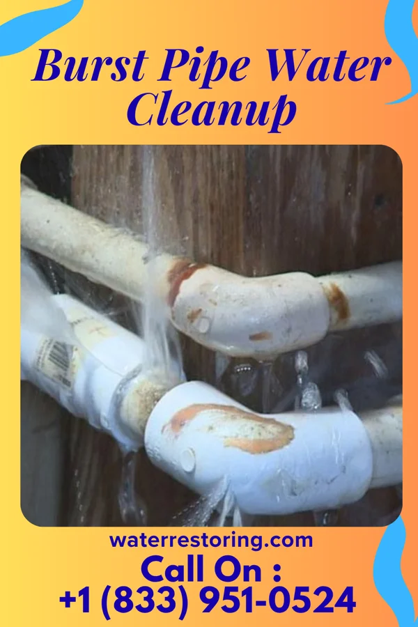 Burst Pipe Water Cleanup in Bethany, PA