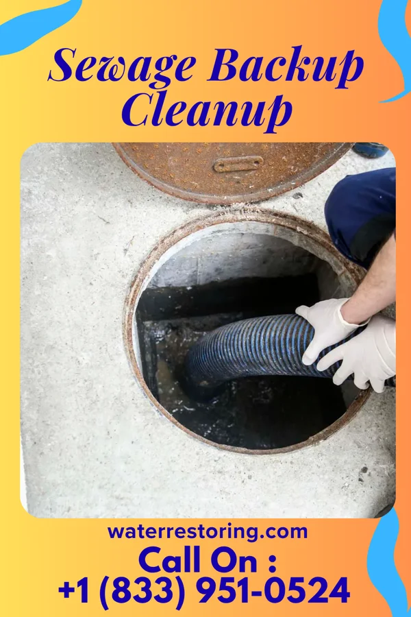 Sewage Backup Cleanup in Bethany, PA