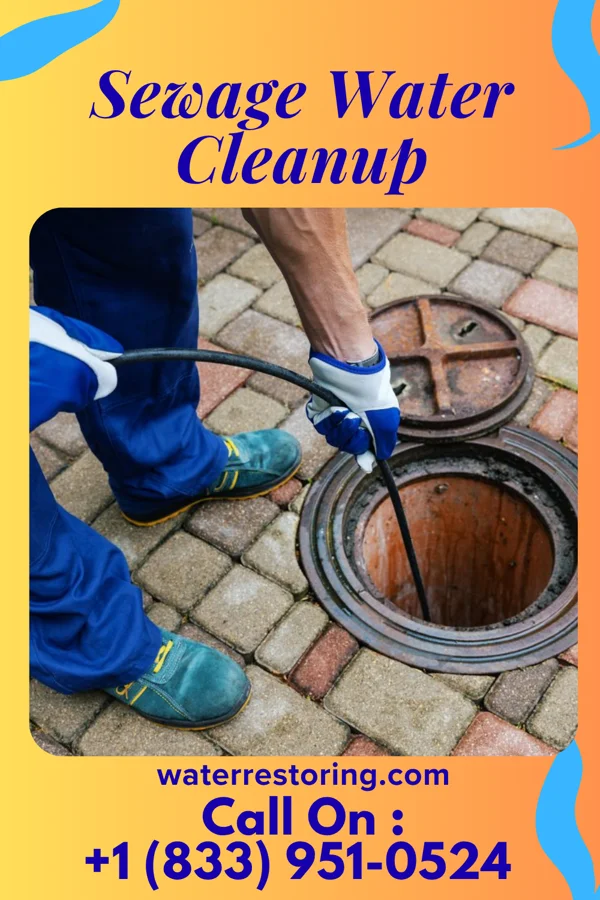 Sewage Water Cleanup in Bethany, PA