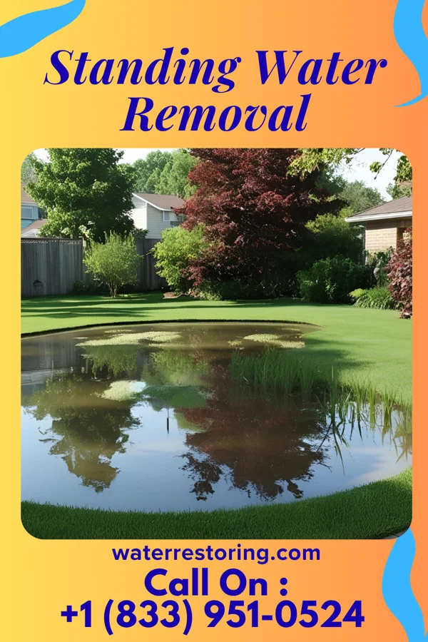Standing Water Removal in Bethany, PA